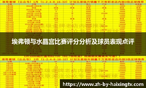 埃弗顿与水晶宫比赛评分分析及球员表现点评