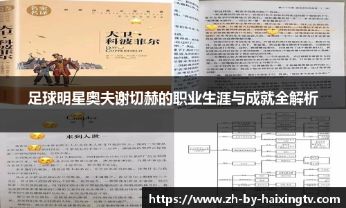 足球明星奥夫谢切赫的职业生涯与成就全解析