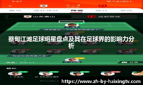 蔡甸江滩足球明星盘点及其在足球界的影响力分析